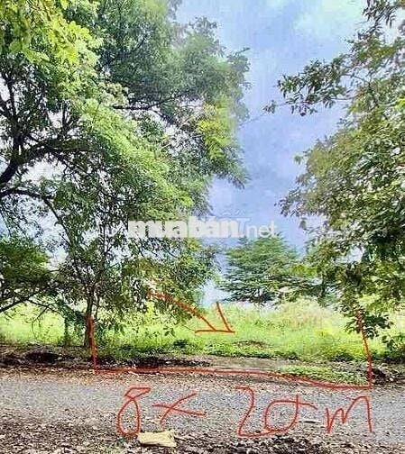 Bán nền 160m2 KDC An Phú Tây Giá rẻ Đs 8B 5tỷ1 ( chưa tới 32triệu/M2)