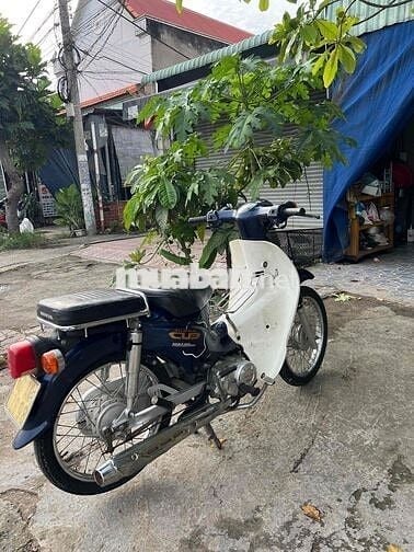 Cần bán xe cup 50cc máy móc zin êm