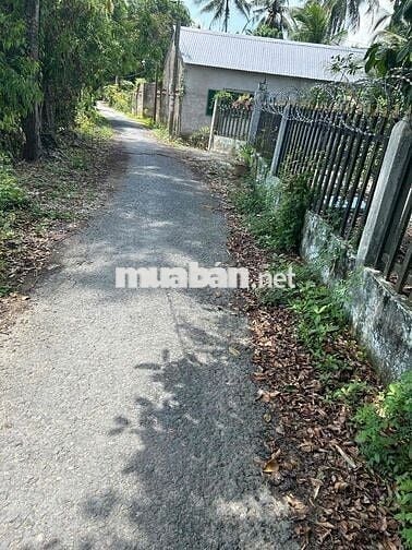 CẦN BÁN 1400M ĐẤT VƯỜN CLN THUỘC PHƯỜNG TÂN HẠNH, TỈNH VĨNH LONG