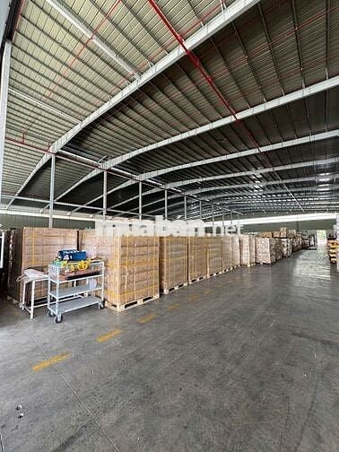 CHO THUÊ NHÀ XƯỞNG 7.000M² – CỤM CÔNG NGHIỆP TÂN AN, LONG AN