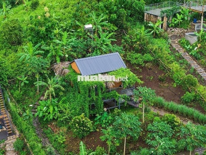 Khám Phá Mảnh Đất Nghỉ Dưỡng Tại Định Quán, Đồng Nai – "Đà Lạt Thứ 2"