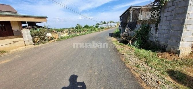 Bán đất vườn sầu riêng trung tâm TT Di Linh