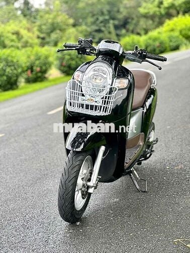 ✅✅Scoopy Zin Nguyên Bản.Siêu Keng. Ngay Chủ