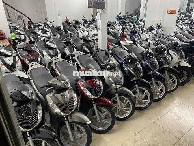 SH Việt Nam số lượng lớn- Giá chỉ hơn 30 triệu