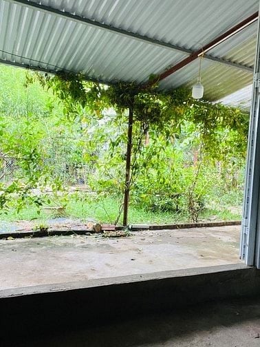 Bán nhà vườn trung tâm Hà Nội 