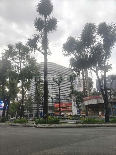 Siêu hiếm MT Phạm Ngọc Thạch 19 x34m - HDT 280tr/T - Giá bán 400 tỷ