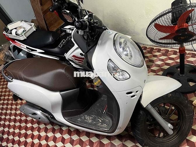 BÁN XE SCOOPY 2024