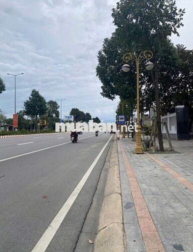 CHỦ KẸT TIỀN BÁN ĐẤT ĐẦU TƯ, CHO THUÊ ĐƯỜNG PHẠM NGỌC THẠCH THỦ DẦU 1