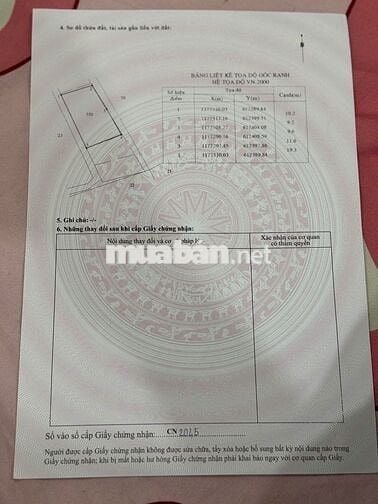 Chính Chủ Cần Bán Đất Xã Bình Khánh, Cần Giờ, Hồ Chí Minh