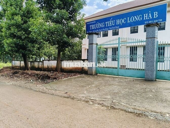 🌳 CẦN BÁN LÔ ĐẤT NGAY SÁT TRƯỜNG TH  #1667M² - SẴN #100M² THỔ CƯ!