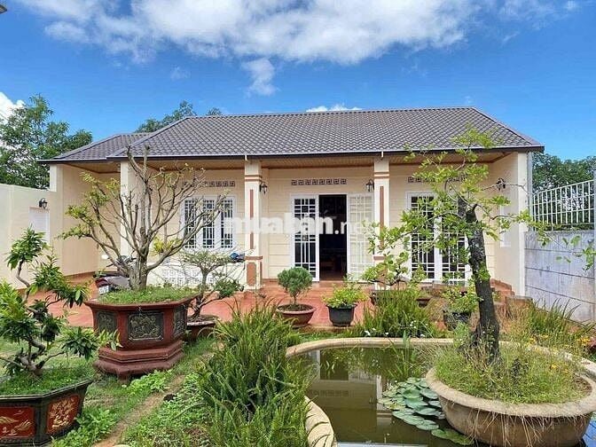 Cho thuê nhà vườn 500m2 hẻm 327 Y Moan có nội thất