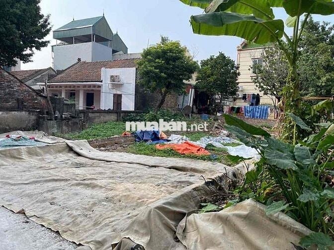 Cần bán 92,8m2 đất ở xã Hoàng Diệu (cũ) nay là xã Quảng Bị