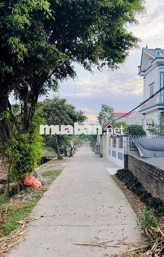 CHÍNH CHỦ BÁN LÔ ĐẤT ĐẸP –  BỒNG QUỸ, XÃ Ý YÊN – NINH BÌNH