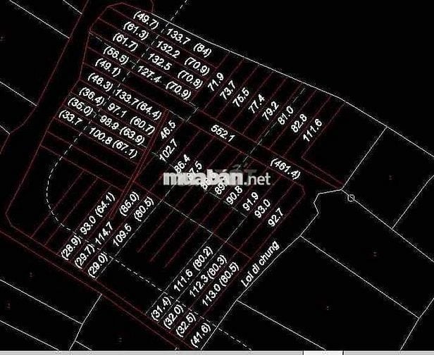 ✅ Tân Triều ( Bình Lợi ) hơn 30 lô cần bán lại cho nhà đầu tư