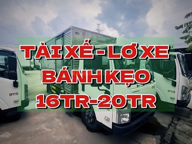 🚚Tuyển Lái Xe Long An | B2,C,D Lương 20tr/tháng | Chạy Tỉnh Bao Ăn Ở