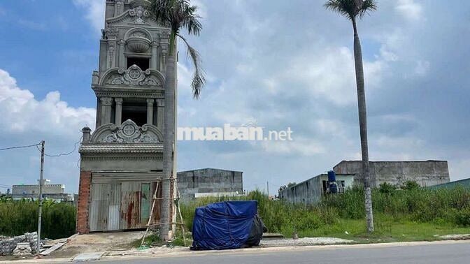 Đất mặt tiền đường Đại Lộ Long An (đường 1A) KDC Tân Đức