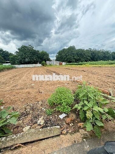 CHÚ EM MUỐN BÁN LẠI MIẾNG ĐẤT Ở PHÚ GIÁO BINH DƯƠNG