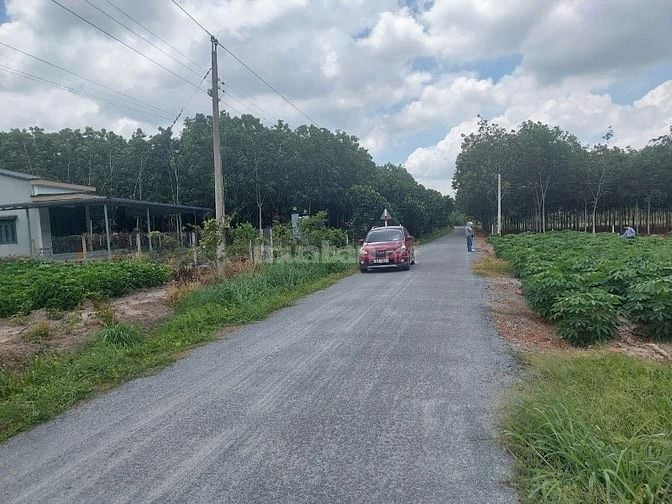 Bán đất SHR,200m2 sát KCN Phước Đông, đường nhựa thông,480tr,Tây Ninh
