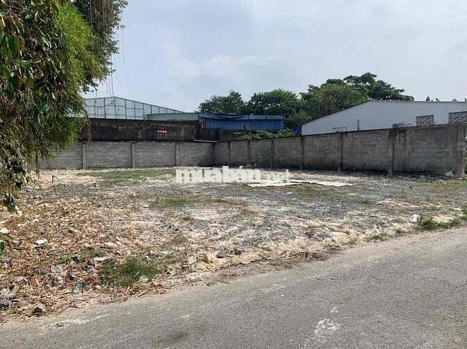 CHỦ BÁN NHANH LÔ ĐẤT 202m² TÂN THÔNG HỘI – SANG NƯỚC NGOÀI ĐỊNH CƯ.