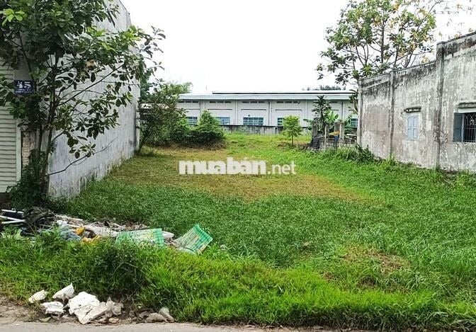 CẦN VỐN LÀM ĂN, BÁN ĐẤT 319M2, CÂY BÀI, PHƯỚC VĨNH AN, 550TR