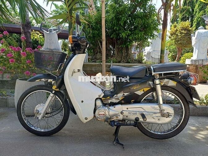 Cup Dalim 50cc 2020