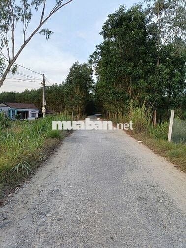 Đất quy hoạch thổ cư Quảng Ngãi giá rẻ chỉ 79 triệu, sổ hồng riêng sẵn