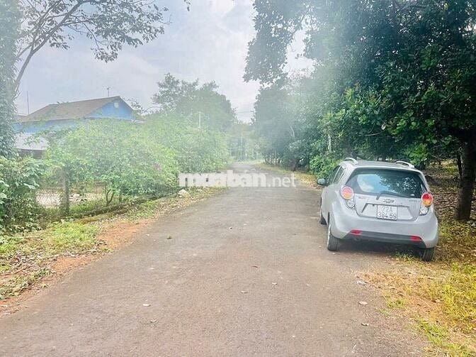 🏡 750 TRIỆU mua ngay 1000m² ĐẤT QUY HOẠCH THỔ CƯ BÀU LÂM, XUYÊN MỘC 🌼