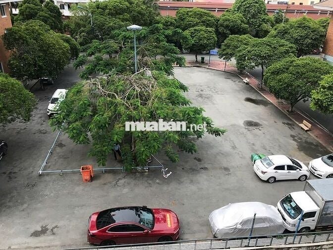 Bán căn hộ 2pn, 2wc cc 312 Lạc Long Quân, view đẹp, thoáng, an ninh