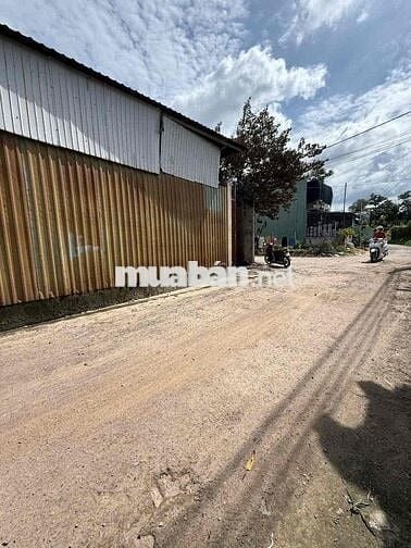 Bán đất bình nhâm 41 (11,8x35) ngay gofl sông bé