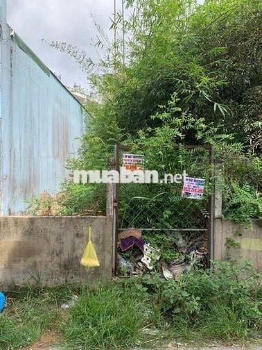 Bán Đất Full Thổ Cư Hẻm 1959 Lê Văn Lương, Nhơn Đức, Nhà Bè.
