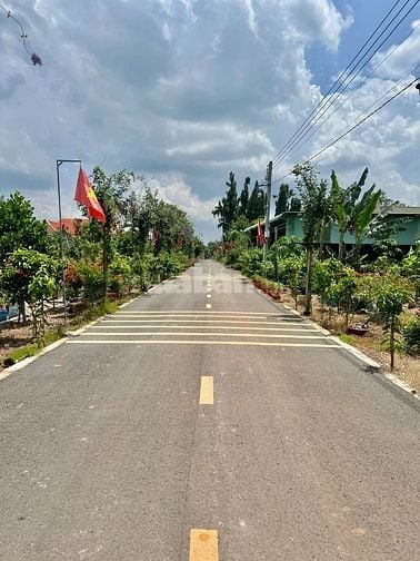 Bán Ngộp 300m2 thổ, Đường Nhựa, có đèn đường, Giá 650 triệu, bao sổ