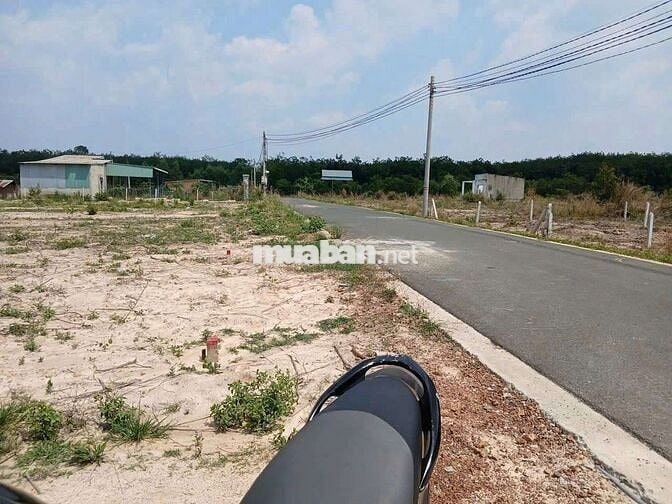 Bán đất thổ cư  mặt tiền đường nhựa tại bình dương