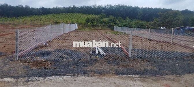 Bán đất thổ cư 230m2 giá 350tr