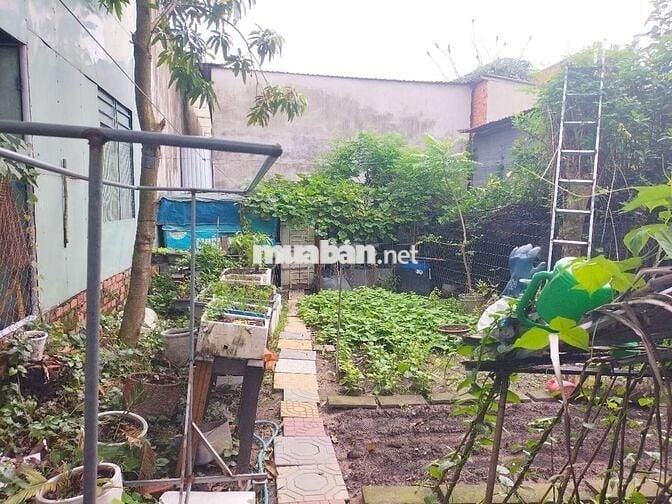 Đất phú hòa khu 8(dt7x15) cách chợ Phú Hòa 500mđường ôtô giá công nhân