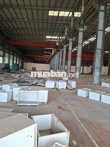 Cho thuê kho MT Q7' mở Gym nét thể thao .sân tập golf...