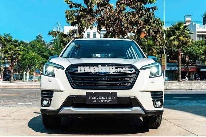 Bán xe Subaru Forester 2024 Giá ***