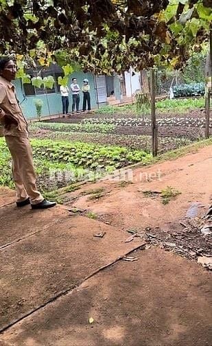 CÔNG TY ĐẤU GIÁ HỢP DANH MINH PHÁP THÔNG BÁO ĐẤU GIÁ TÀI SẢN
