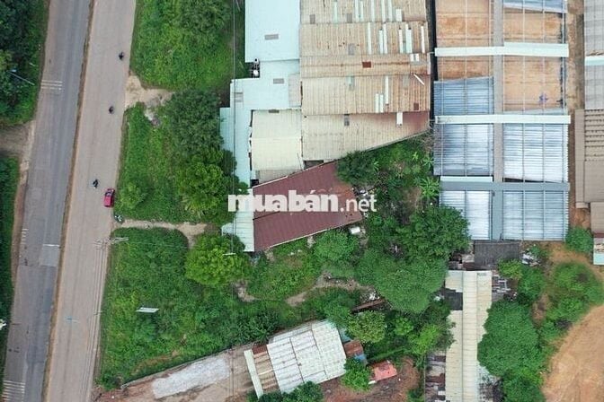 BÁN ĐẤT TẠI AN PHƯỚC – LONG THÀNH – ĐỒNG NAI