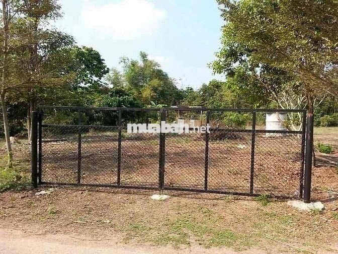 Cần bán gấp miếng đất thổ cư giá rẻ