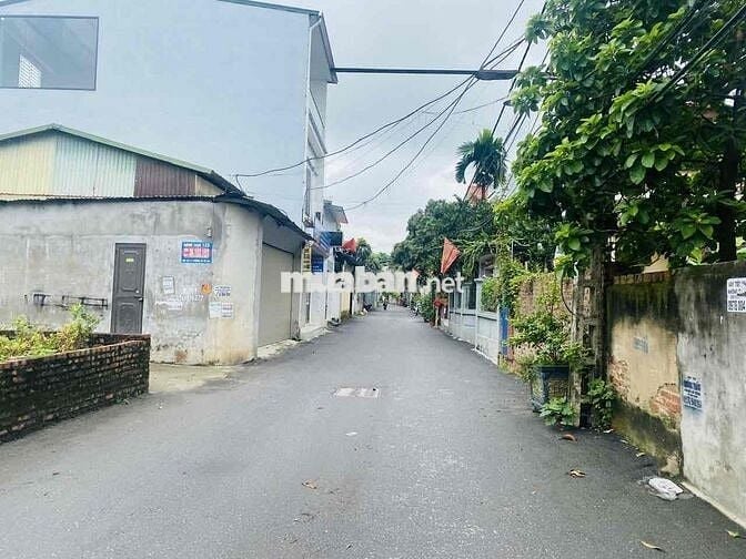 Đất Phù Lỗ-Sóc Sơn-đường thông-Camry đỗ cửa-180m2-Giá đầu tư