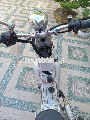 Cub yamaha