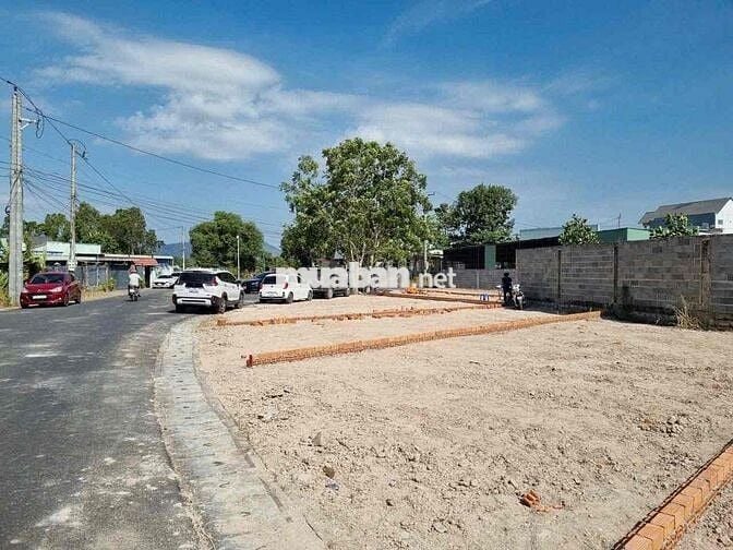 cần bán gấp lô đất mặt tiền đường Mạc Đĩnh Chi, TT Long Điền