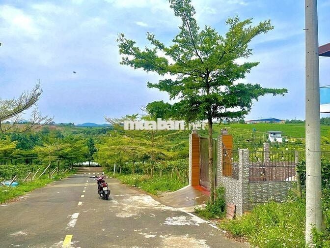Bán đất 125m² Phường 2 – Bảo Lộc, khu compound, giá rẻ hơn 1/2 khu vực