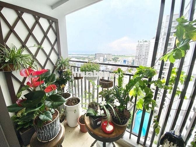 Không gian sống xanh-Đẳng cấp vượt thời gian chỉ có ở Botanica Premier