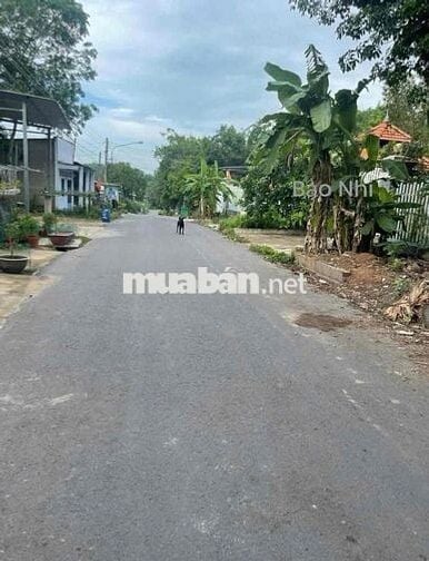 Thanh lý nhà vườn 1520m2 có sẵn nhà cấp 4 và vườn trái cây ăn trái
