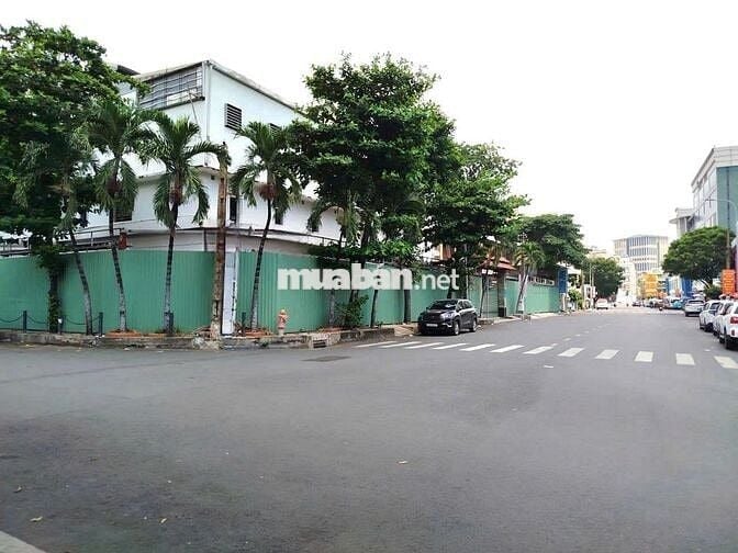 Cho Thuê Nhà Đường Hoàng Việt, Tân Bình ( 3,000m2 - Quán - CHDV - KS )