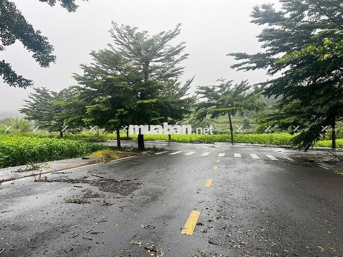 Bán nhanh lô đất 200m² Phường 2, khu compound, đường 14m, giá rẻ!