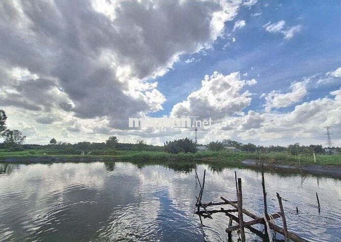 LÔ ĐẤT LÚA NGAY HẺM 1697 LÊ VĂN LƯƠNG NHƠN ĐỨC NHÀ BÈ.