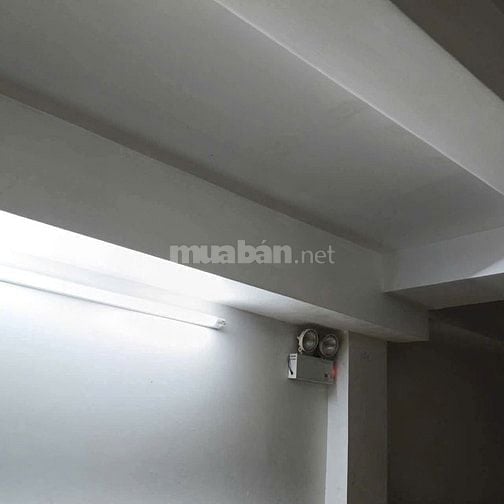 Cho Thuê Tòa Nhà Nguyên Căn 11 Núi Thành Phường 13 Tân Bình. Giá 55Tr