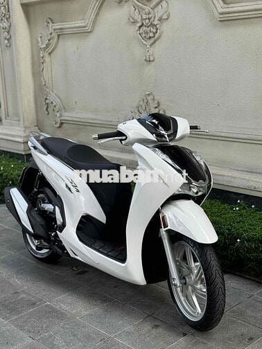 SH 350 2022 Máy Thái BSTP